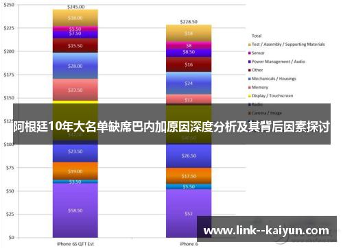 阿根廷10年大名单缺席巴内加原因深度分析及其背后因素探讨
