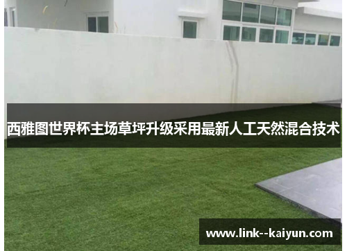 西雅图世界杯主场草坪升级采用最新人工天然混合技术 西雅图世界杯主场草坪升级采用最新人工天然混合技术