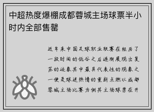 中超热度爆棚成都蓉城主场球票半小时内全部售罄